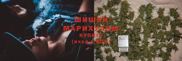 соль ск Пересвет