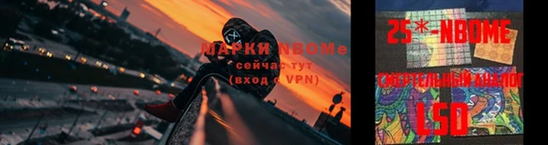 шишки Пестово
