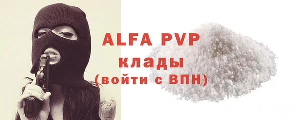 шишки Пестово