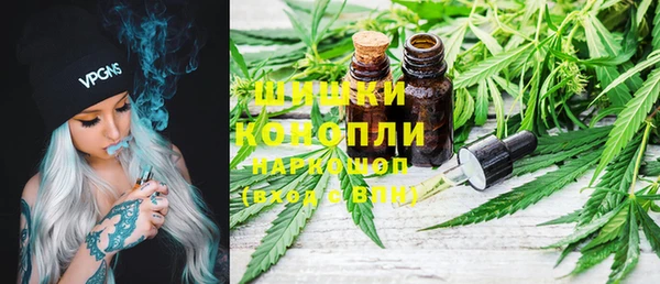 spice Аркадак