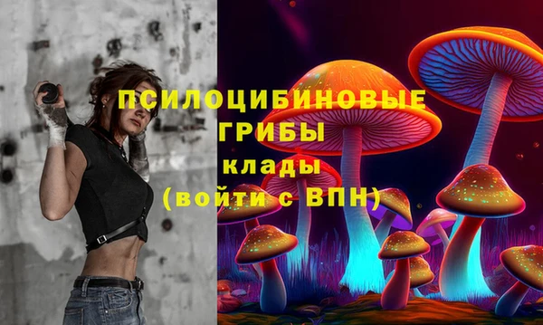 spice Аркадак
