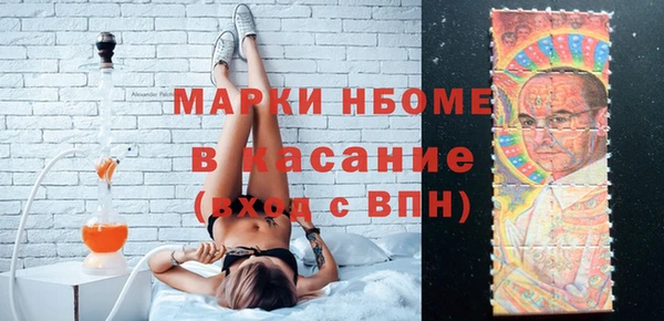 шишки Пестово