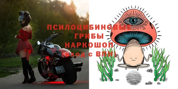 сатива Армянск