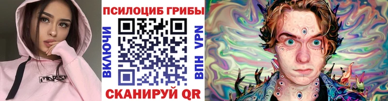 купить наркоту  mega как войти  Псилоцибиновые грибы мицелий  Петухово 